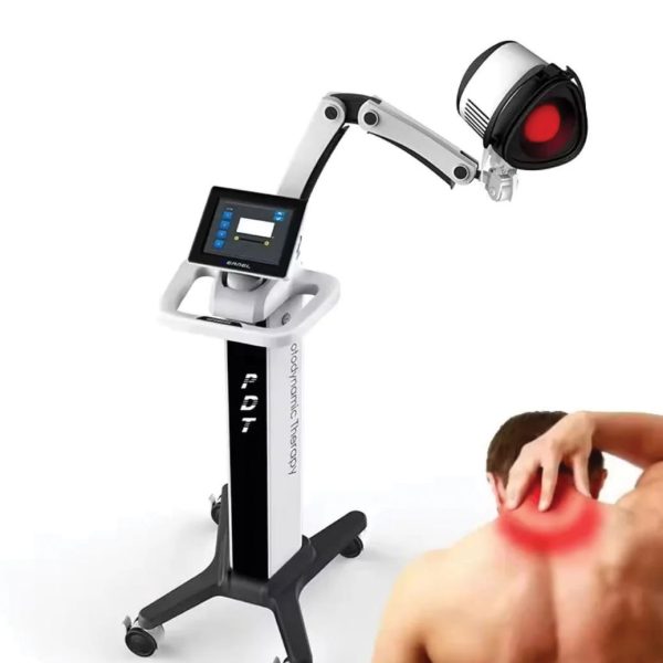 WhatsApp Image 2026 02 19 at 7 59 18 AM (1)