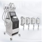 WhatsApp Image 2026 02 19 at 8 02 00 AM